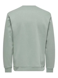 Only & Sons Sweatshirt 'CONNOR' pastellgrn