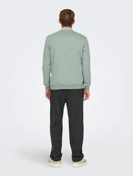 Only & Sons Sweatshirt 'CONNOR' pastellgrn