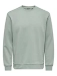 Only & Sons Sweatshirt 'CONNOR' pastellgrn