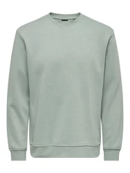 Only & Sons Sweatshirt 'CONNOR' pastellgrn