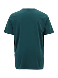 Jack & Jones Plus T-Shirt smaragd/tanne/wei