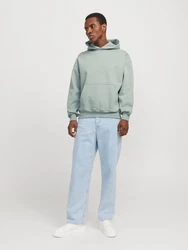 JACK & JONES Sweatshirt 'JJEUrban Edge' pastellgrn