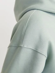 JACK & JONES Sweatshirt 'JJEUrban Edge' pastellgrn