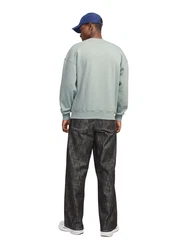 JACK & JONES Sweatshirt JJEUrban Edge pastellgrn