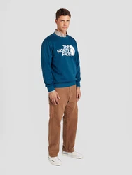 JACK & JONES Hose 'JPSTEDDIE JJCARPENTER' (1-tlg) braun