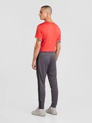 ADIDAS PERFORMANCE Sporthose Essentials dunkelgrau / schwarz