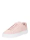 ARMANI EXCHANGE Nizke superge  zlata / roza