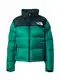 THE NORTH FACE Přechodná bunda '1996 Retro Nuptse'  smaragdová / jedle / bílá