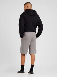 Champion Authentic Athletic Apparel Shorts grau