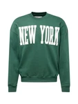 HOLLISTER Sweatshirt grn/wei