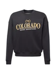 HOLLISTER Sweatshirt gelb/grau/weiß