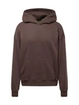 HOLLISTER Sweatshirt schoko