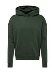 HOLLISTER Sweatshirt dunkelgrün