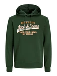 Jack & Jones Plus Sweatshirt JJELOGO SWEAT HOOD 2 COL 24/25 NOOS PLS Dunkelgrün/Grün/Dunkelgrün/Grün/Dunkelgrün/Grün/Dunkelgrün/Grün/Dunkelgrün/Grün/Dunkelgrün/Grün/Dunkelgrün/Grün/Dunkelgrün/Grün/Dunkelgrün/Grün/Dunkelgrün/Grün