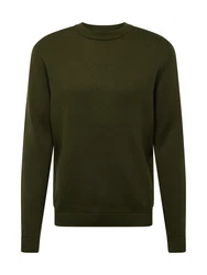 SELECTED HOMME Rundhalspullover SLHDANE dunkelgrn