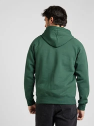 Carhartt WIP Sweatshirt/Hoodie Chase smaragd
