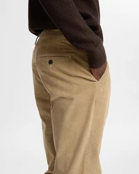 SELECTED HOMME Hose 'SLHMiles' beige