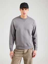 REPLAY Sweatshirt grau