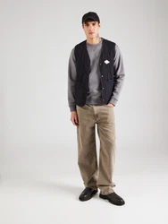 REPLAY Sweatshirt grau
