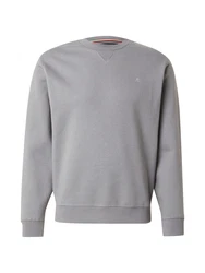 REPLAY Sweatshirt grau