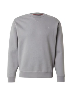 REPLAY Sweatshirt grau