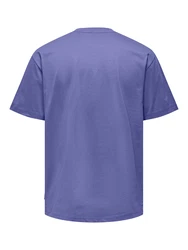 ONLY & SONS T-Shirt Fred saphir