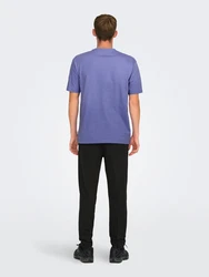 ONLY & SONS T-Shirt Fred saphir