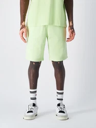 Champion Authentic Athletic Apparel Shorts hellgrün
