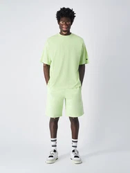 Champion Authentic Athletic Apparel Shorts hellgrün