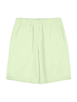 Champion Authentic Athletic Apparel Shorts hellgrün