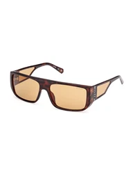 Sonnenbrille hellbraun / dunkelbraun