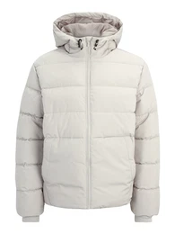 Jacke 'ONSMARVIN' silbergrau