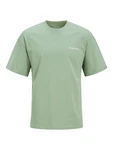 JACK & JONES T-Shirt 'JJEBradley' limette/pastellgrün/weiß JACK & JONES T-Shirt 'JJEBradley' limette/pastellgrün/weiß
