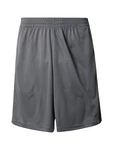 ADIDAS PERFORMANCE Sportshorts grau / schwarz