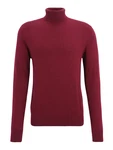 SELECTED HOMME Pullover 'Berg' 