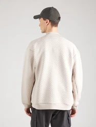 ADIDAS TERREX Sportsweatjacke 'XPL' kitt