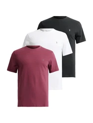 AllSaints T-Shirt 'BRACE' (GOTS) grau / beere / schwarz / weiß