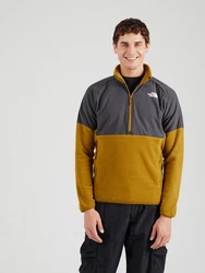 THE NORTH FACE GLACIER Funktionsfleecejacke/Sportpullover dunkelgrau/oliv