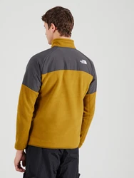 THE NORTH FACE GLACIER Funktionsfleecejacke/Sportpullover dunkelgrau/oliv