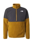 THE NORTH FACE GLACIER Funktionsfleecejacke/Sportpullover dunkelgrau/oliv