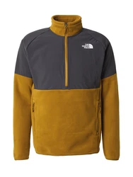 THE NORTH FACE GLACIER Funktionsfleecejacke/Sportpullover dunkelgrau/oliv