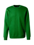 Only & Sons Sweatshirt 'CONNOR' grn