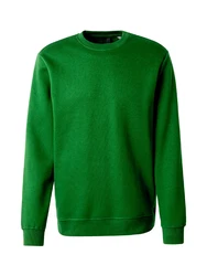 Only & Sons Sweatshirt 'CONNOR' grn