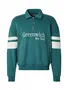 Hollister Sweatjacken im SALE image