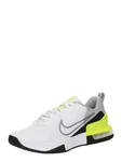 Nike AIR MAX ALPHA TRAINER 6 Fitnessschuh hellgrau/partikelgrau-weiß