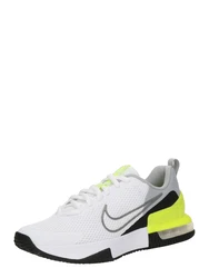 Nike AIR MAX ALPHA TRAINER 6 Fitnessschuh hellgrau/partikelgrau-weiß
