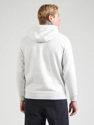 Tommy Jeans Sweatshirt TJM REG S FLAG HOODIE graumeliert