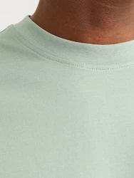 JACK & JONES T-Shirt JJEBradley mint