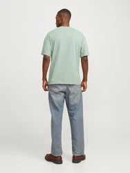 JACK & JONES T-Shirt JJEBradley mint