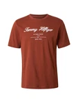 TOMMY HILFIGER T-Shirt kastanienbraun/weiß